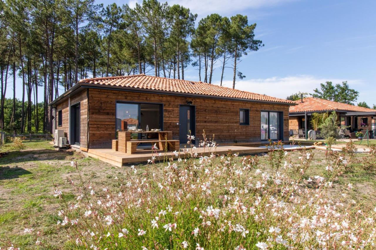 Maison Gemme A Landes Léon エクステリア 写真